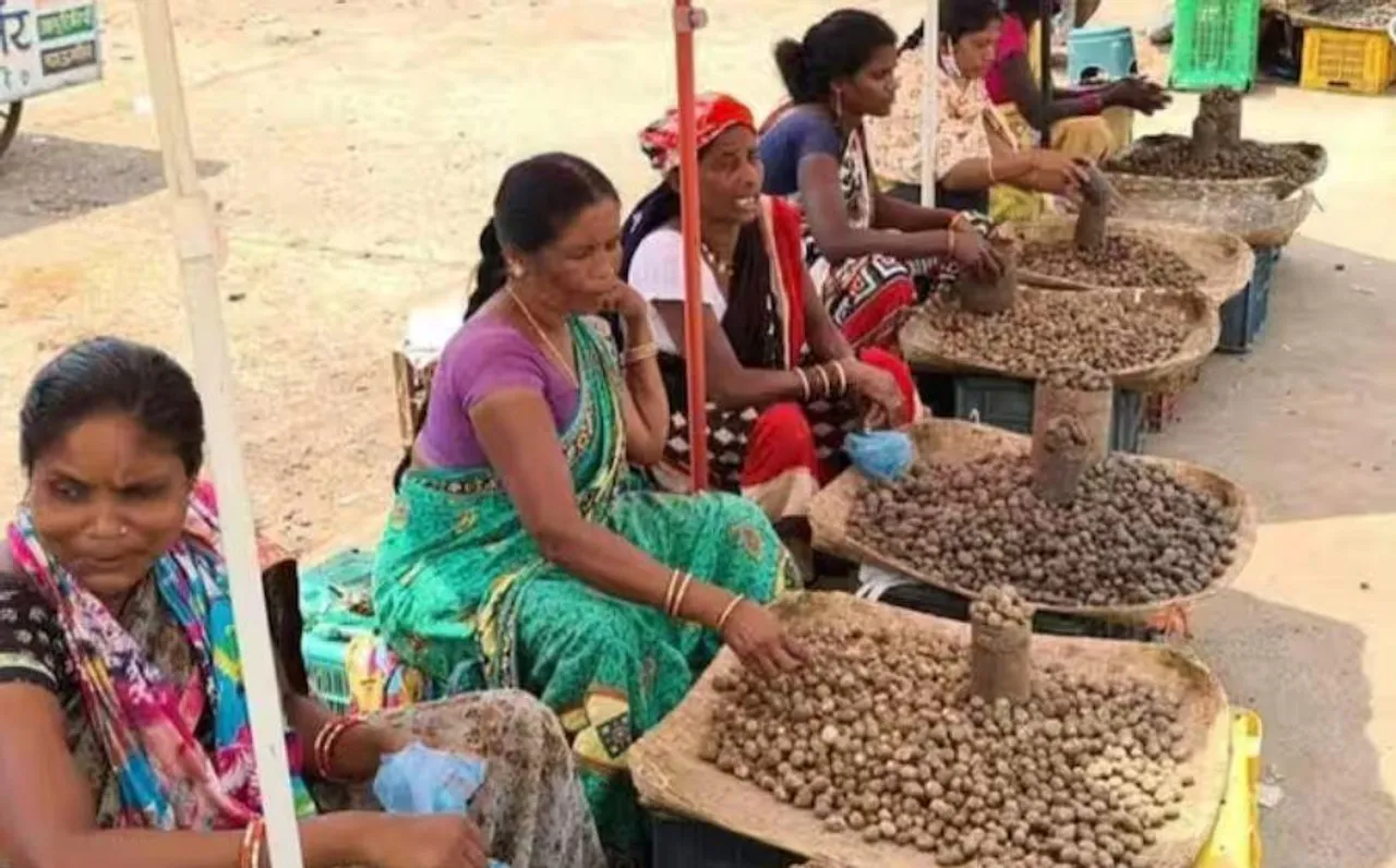 Chhattisgarh News: छत्तीसगढ़ के बस्तर बाजार में पहुंची फेमस बोड़ा सब्जी, विदेशों से खाने आते हैं लोग; हजारों में है कीमत