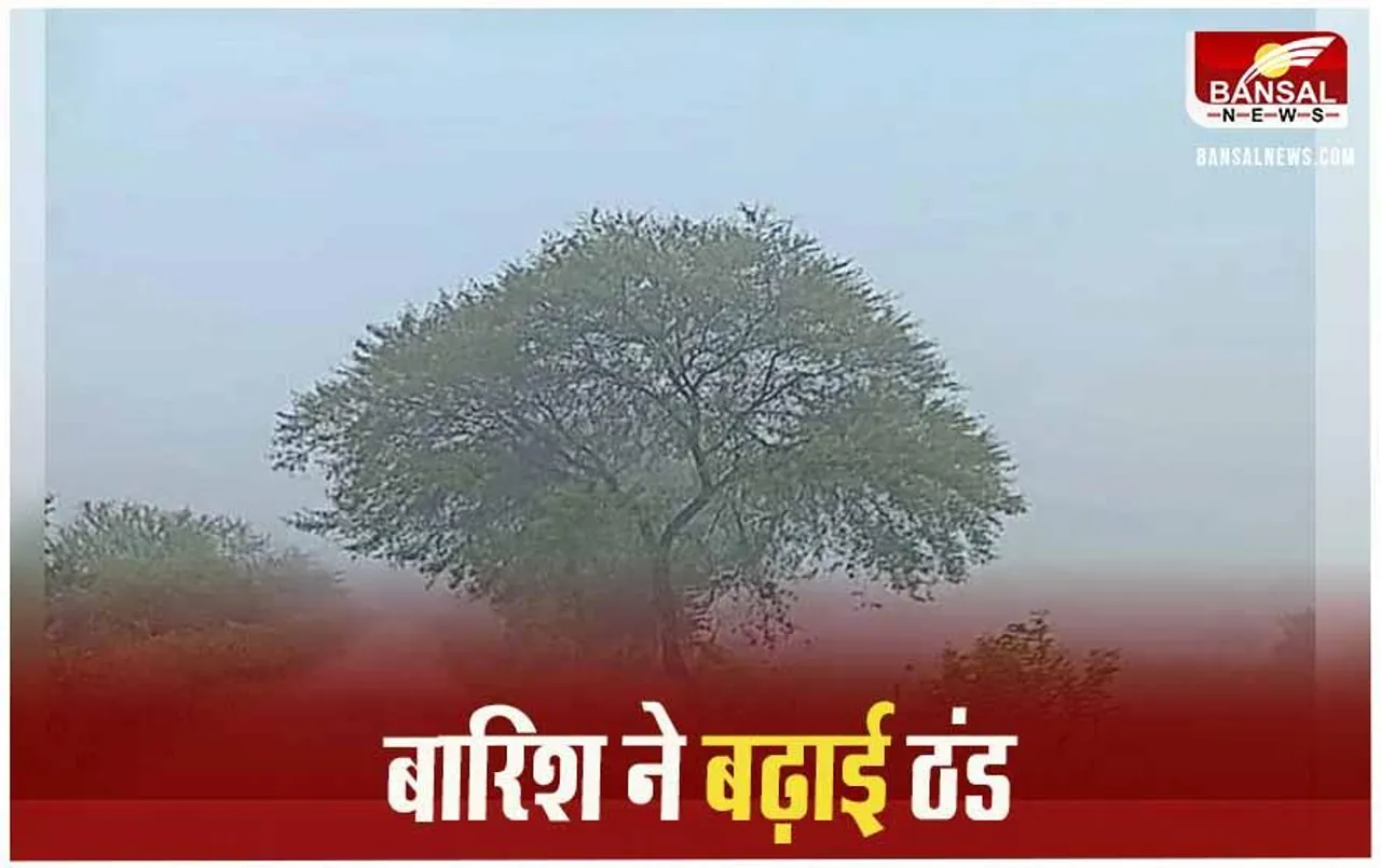 CG Weather Update: वेस्टर्न डिस्टरबेंस का असर प्रदेशभर, कई जिलों में बारिश की संभावना और बढ़ेगी ठंड