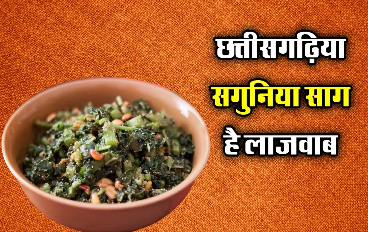 Chhattisgarhi Sagunia Saag Recipe: छत्तीसगढ़ में फेमस है सगुनिया साग, आप इसे आज ही बनाएं और परिवार के साथ खाएं