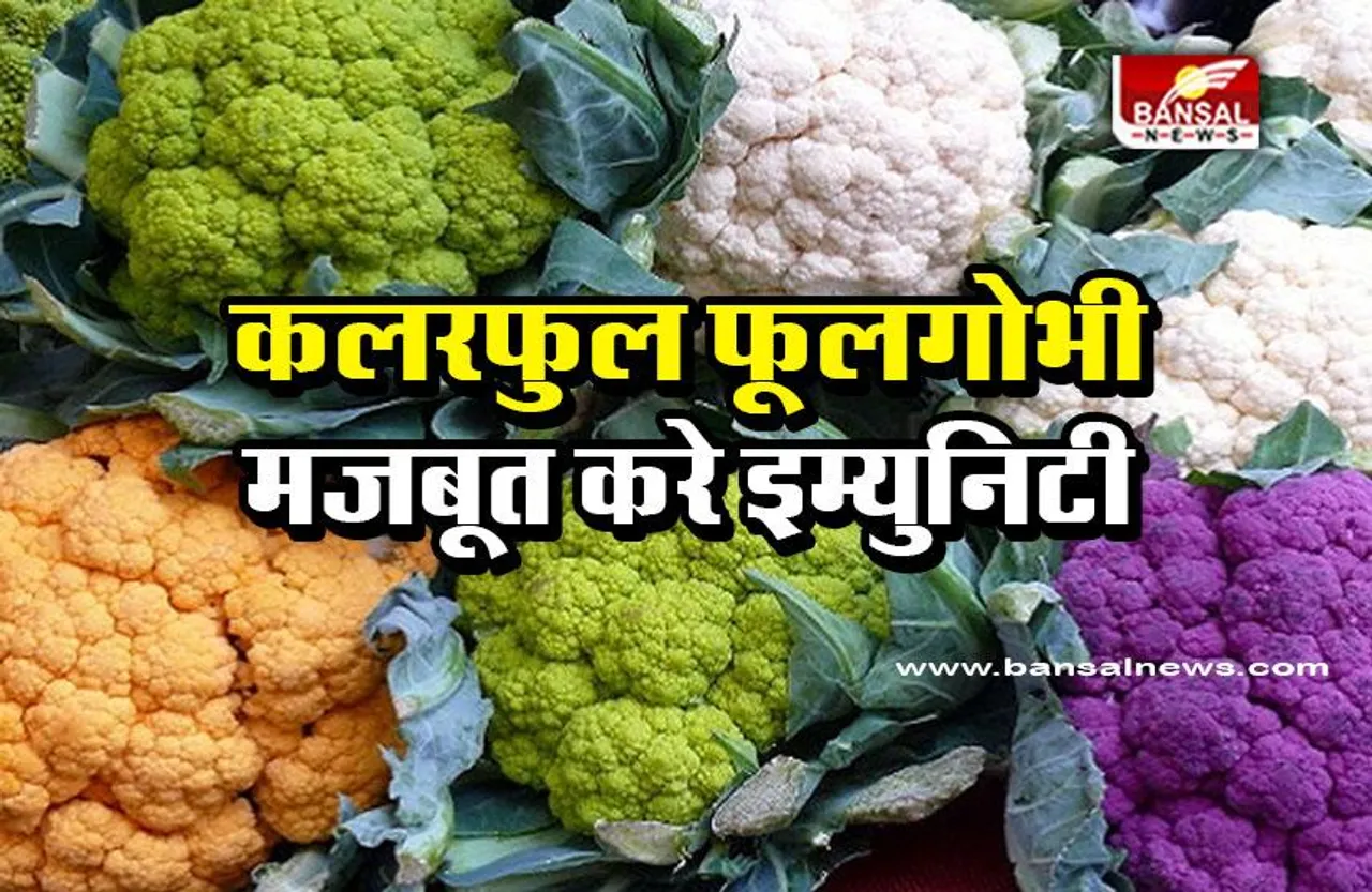 Colorful Cauliflower : कलरफुल फूलगोभी मार्केट में मचा रही धूम, इसे खाने से इम्युनिटी होती है मजबूत