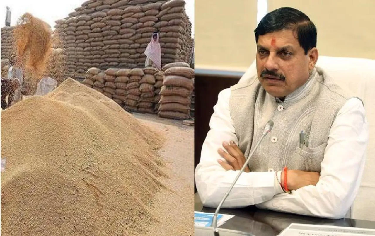 मध्य प्रदेश में गेहूं खरीदी की तारीख बढ़ी: अब 31 मई तक किसानों से गेहूं की खरीदी की जाएगी,