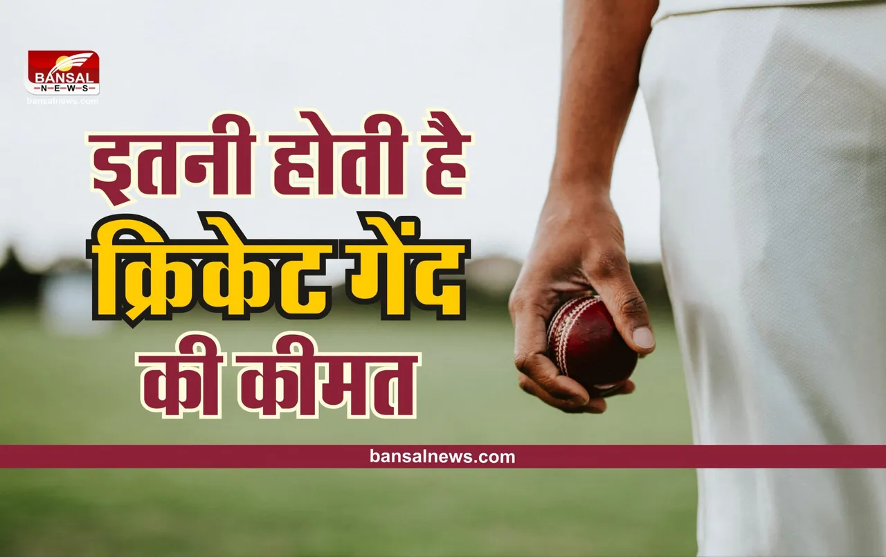 Cricket Ball Price : क्या आप जानते है क्रिकेट की एक गेंद कि कीमत क्या होती है?