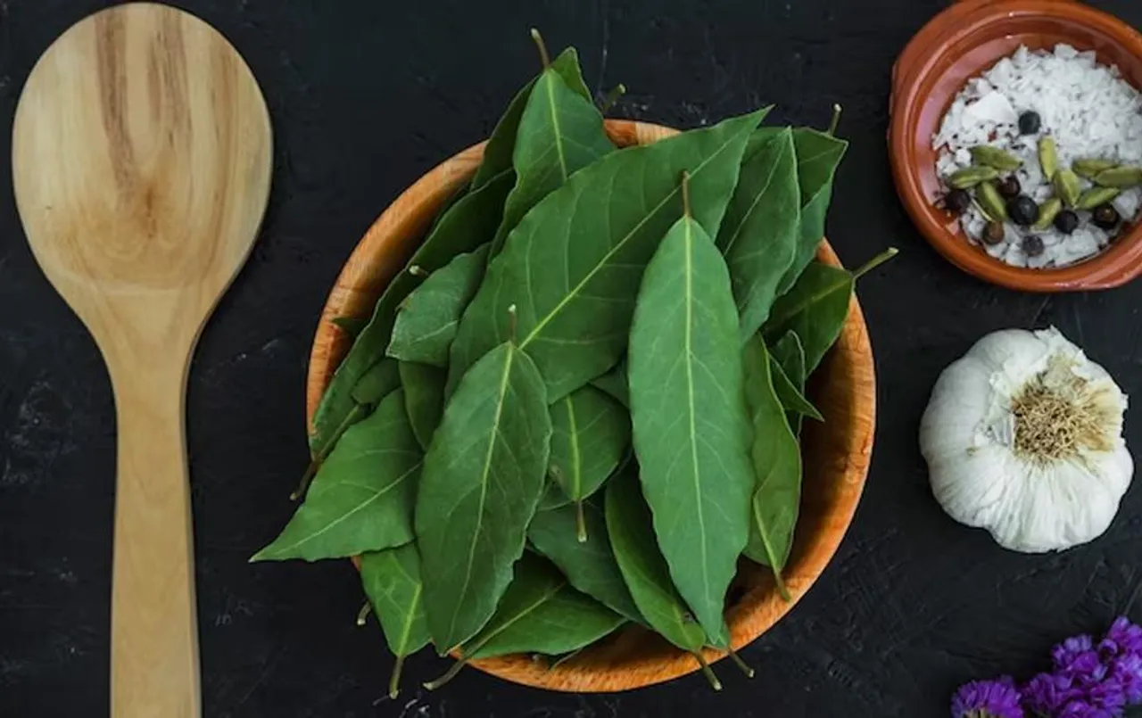 Curry Leaves Benefits: औषधीय गुणों से भरपूर होता है कढ़ी पत्ता, आंखों की सेहत के लिए नियमित करें सेवन
