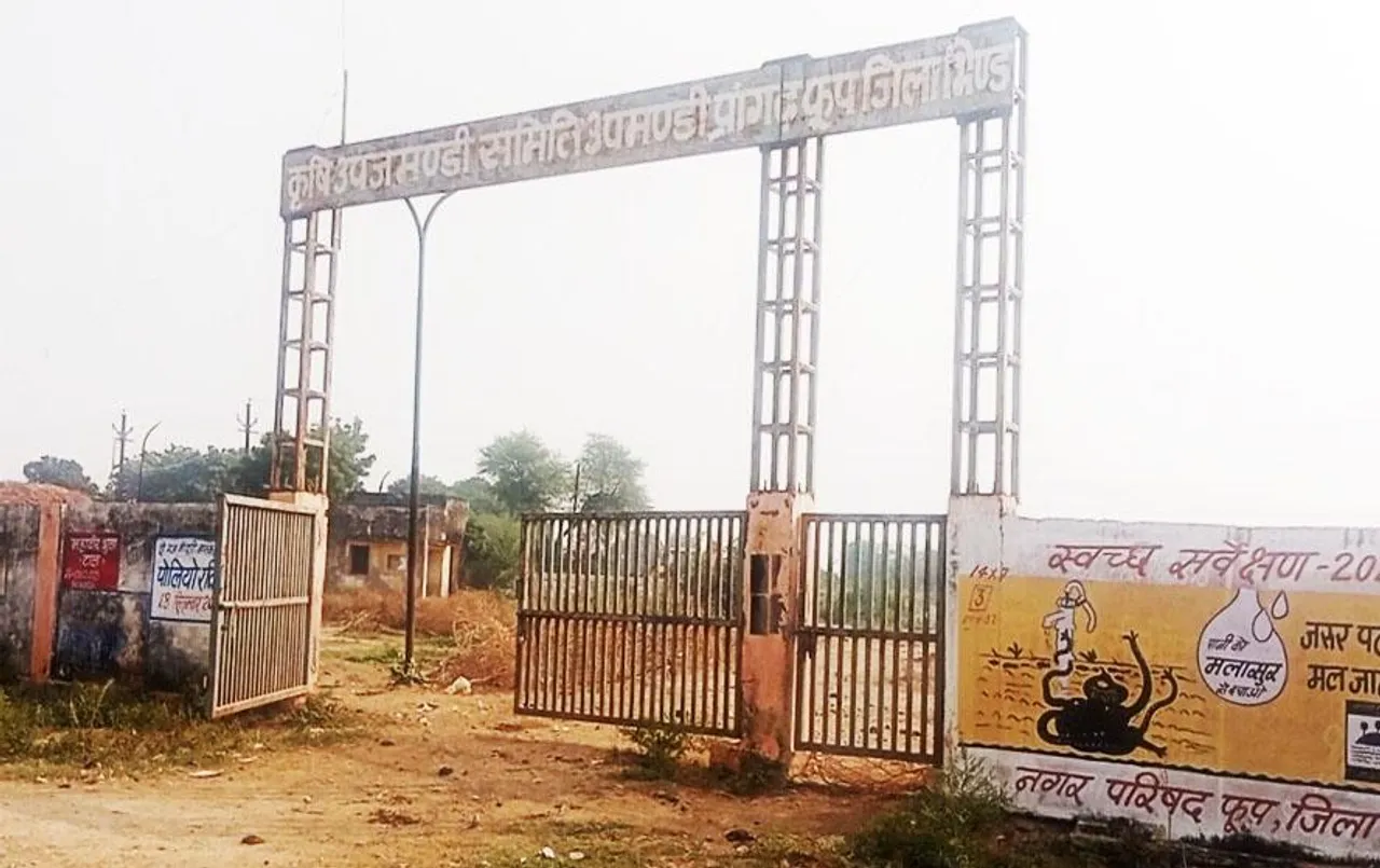 Dhar News: धार में 20 नवंबर से होगी सोयाबीन की खरीदी, इस बार मंडी में 6 हजार तक भाव