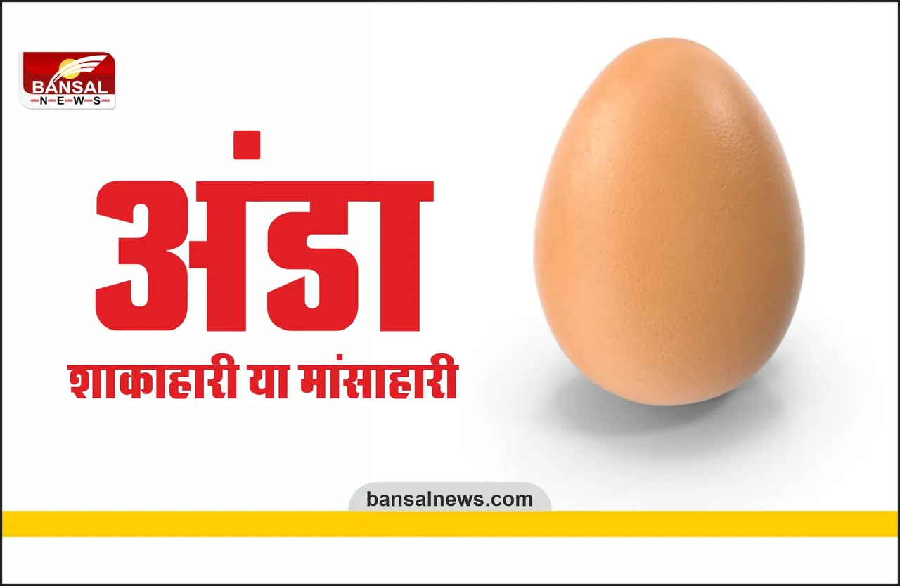 Egg Veg Or Nonveg : अंड़ा वेज है या नॉनवेज, ये रहा सही जबाव