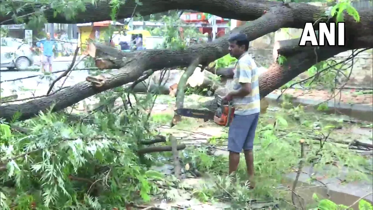 Bengaluru Heavy Rains: तेज बारिश ने शहर में मचाई तबाही, कही गिरे पेड़ तो कहीं फंसा ऑटो रिक्शा