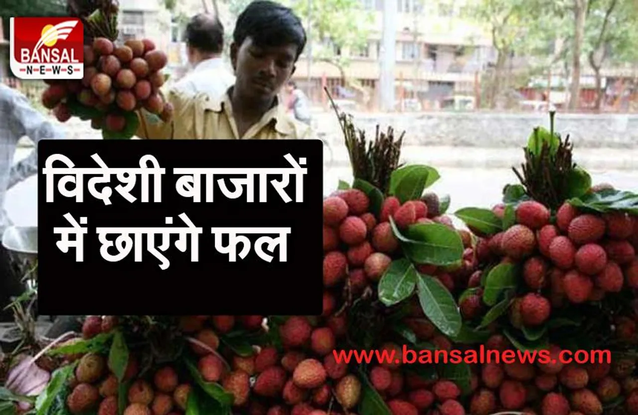 Bihar fruit Market: जल्द ही नए विदेशी बाजार में पेश होगें ये खास फल, मिलेगा बढ़ावा