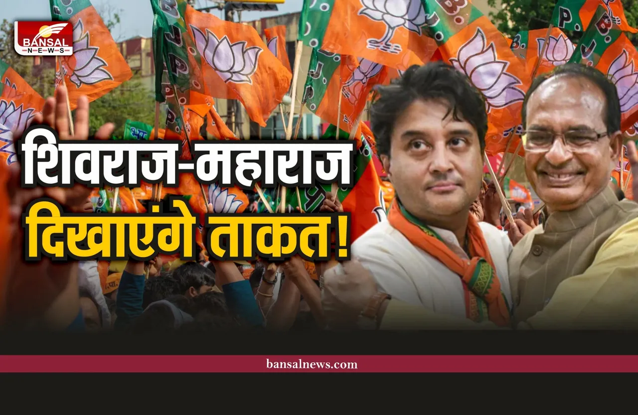 BJP News : सिंधिया-शिवराज को बड़ी जिम्मेदारी, एक साथ दिखाएंगे ताकत