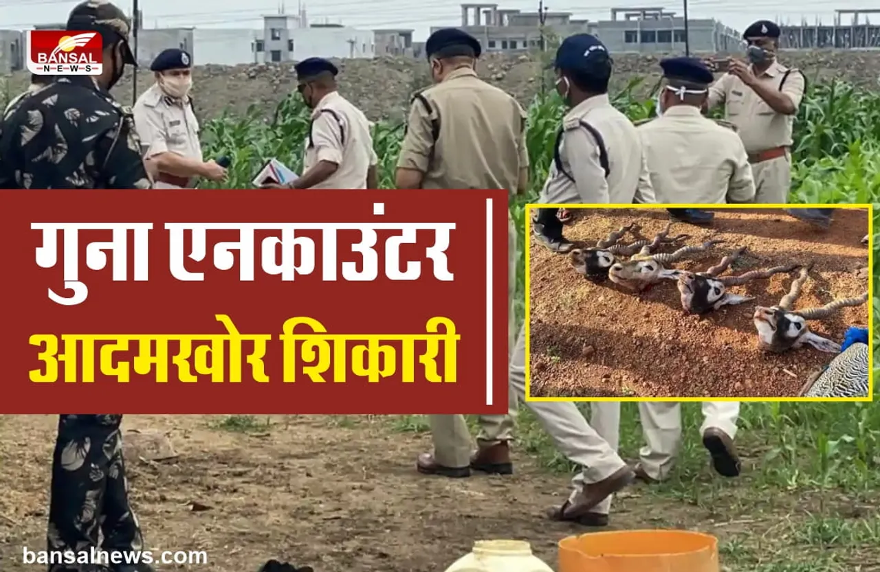 Guna Encounter : कहां से आए थे आदमखोर शिकारी, क्यों हुई 3 पुलिसकर्मीयों की हत्या, जानिए