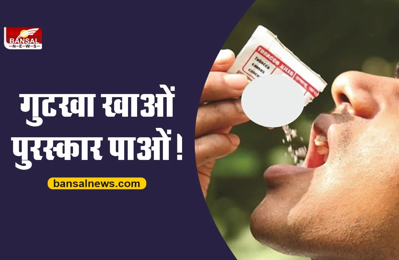 गुटखा खाओं पुरस्कार पाओं, मिलेंगे 7 बड़े पुरस्कार! जानिए पूरा मामला