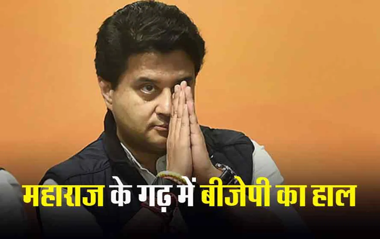 MP Election result 2023: ग्वालियर-चंबल में कांग्रेस से BJP में आए छह विधायक हारे, सात जीते