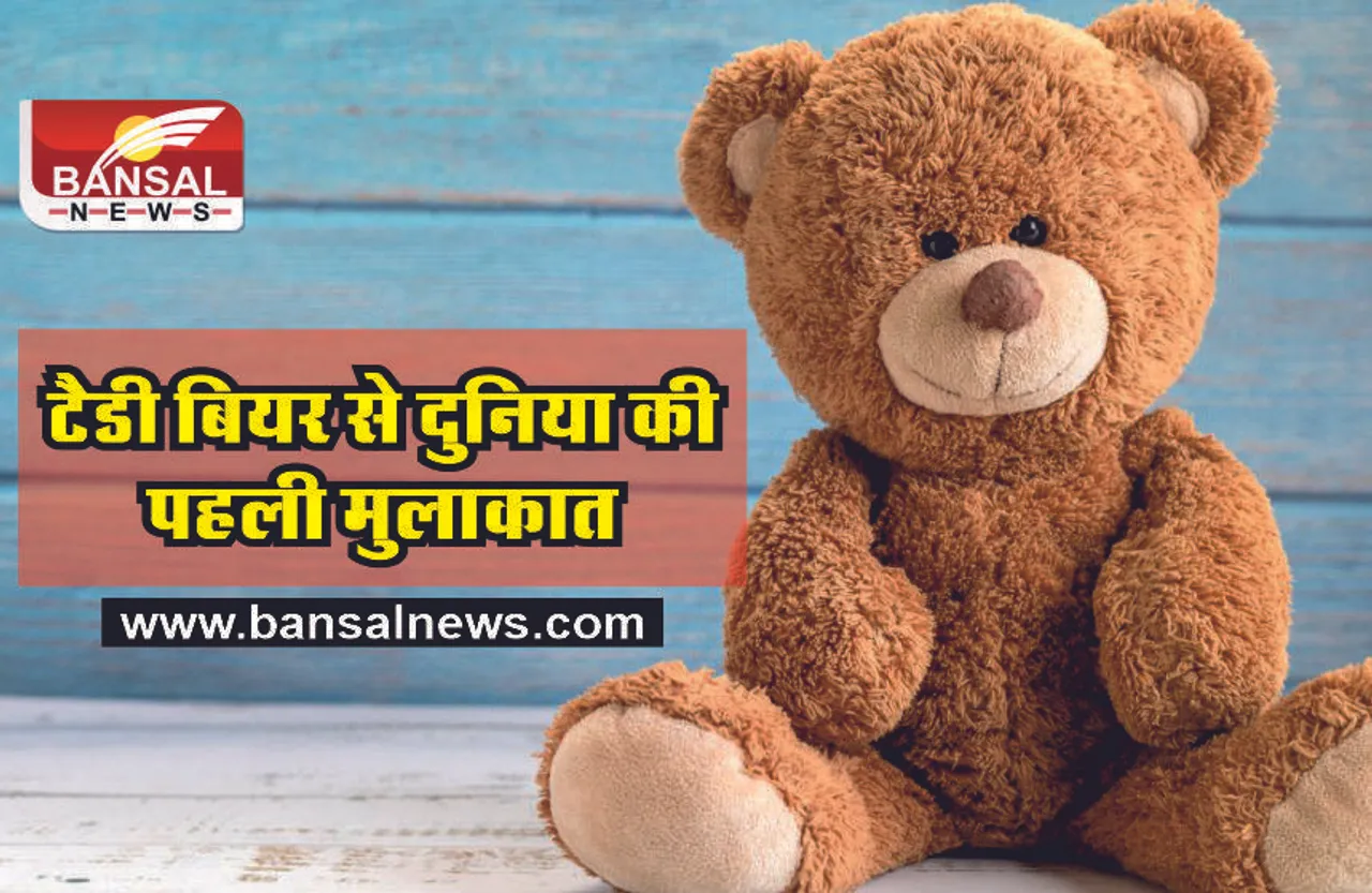 History Of Teddy Bear : कैसे हुई टेडी बियर की उत्पत्ति, क्या है टेडी बियर का इतिहास