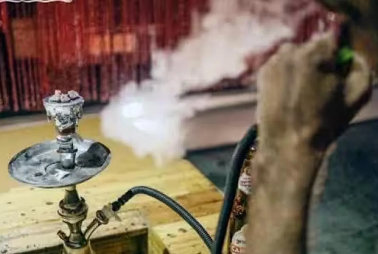 MP Assembly Monsoon Session: हुक्का पीने वाले हो जाएं सावधान, सरकार लाने जा रही विधेयक, जानिए प्रावधान