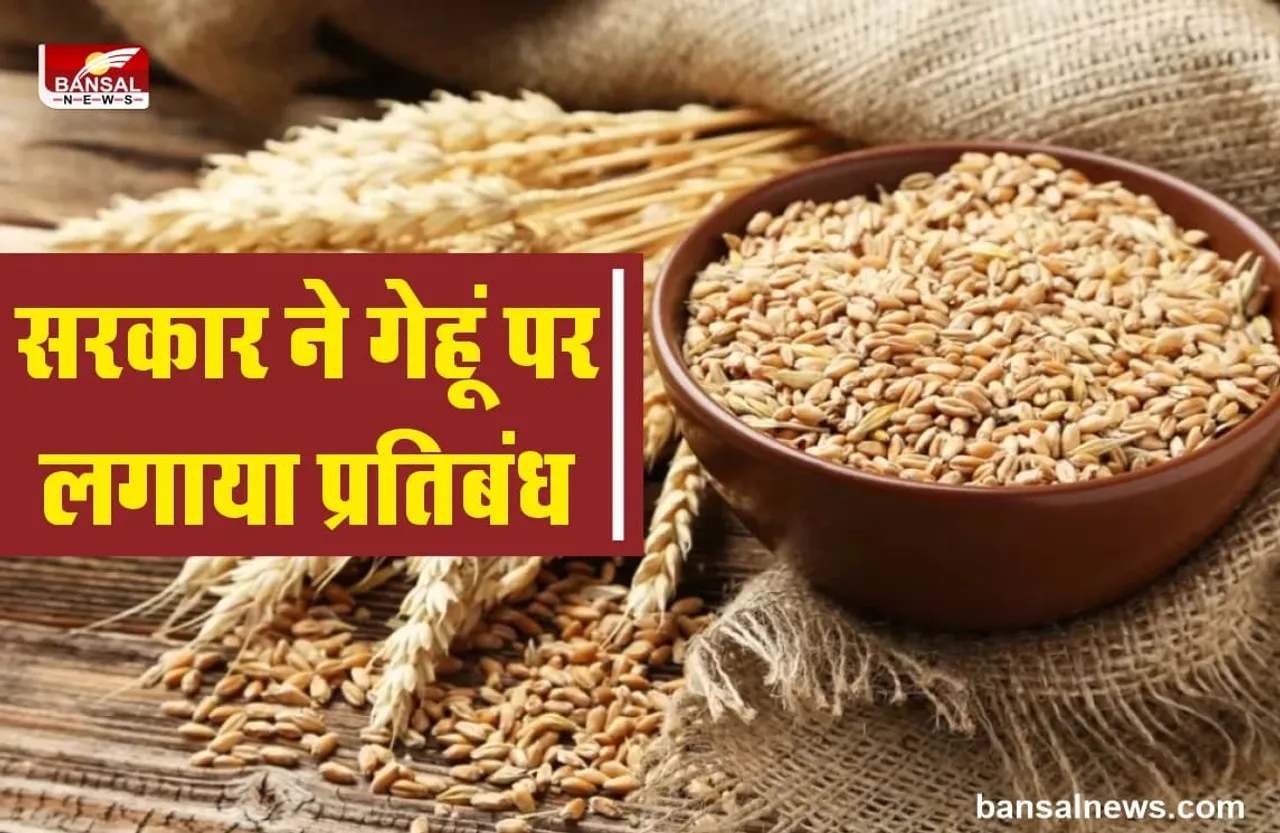 India Bans Wheat : सरकार का बड़ा फैसला, गेहूं निर्यात पर लगाया प्रतिबंध