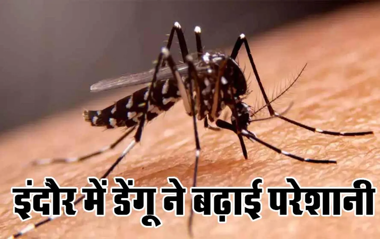 MP News: इंदौर में डेंगू ने बढ़ाई लोगों की परेशानी, 12 नए मरीज मिले, कुल आंकड़ा 223 के पार