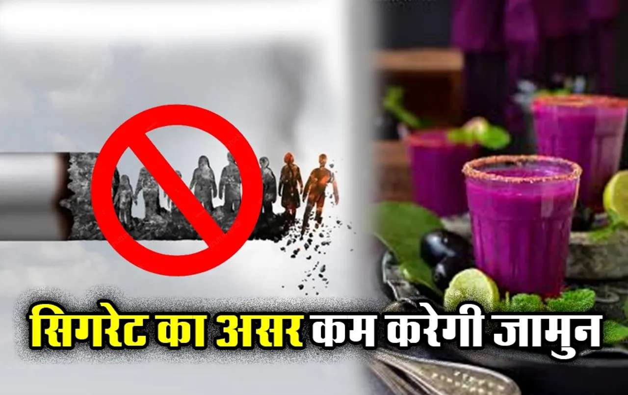 Jamun Drink Recipe: सिगरेट पीने की आदत छुड़ाएगा पहली बारिश में पका हुआ ये फल, जानिए इससे कैसे करें ड्रिंक तैयार