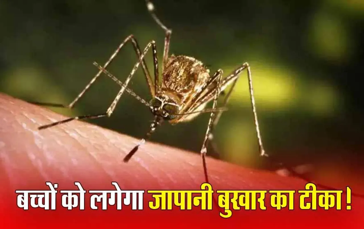 Japanese Encephalitis: भोपाल में 1 से 15 साल तक के 9 लाख बच्चों को लगेगा जापानी बुखार का टीका, 27 फरवरी से होगी शुरुआत
