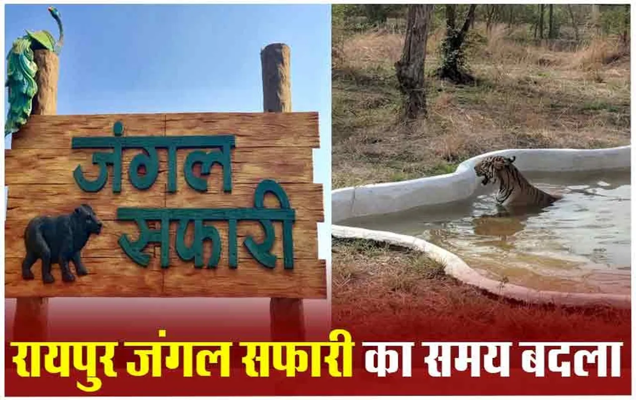 Jungle Safari Raipur: जंगल सफारी की सैर पर जाने से पहले पढ़ लें ये खबर, अब सफारी ढाई घंटे पहले खुलेगा