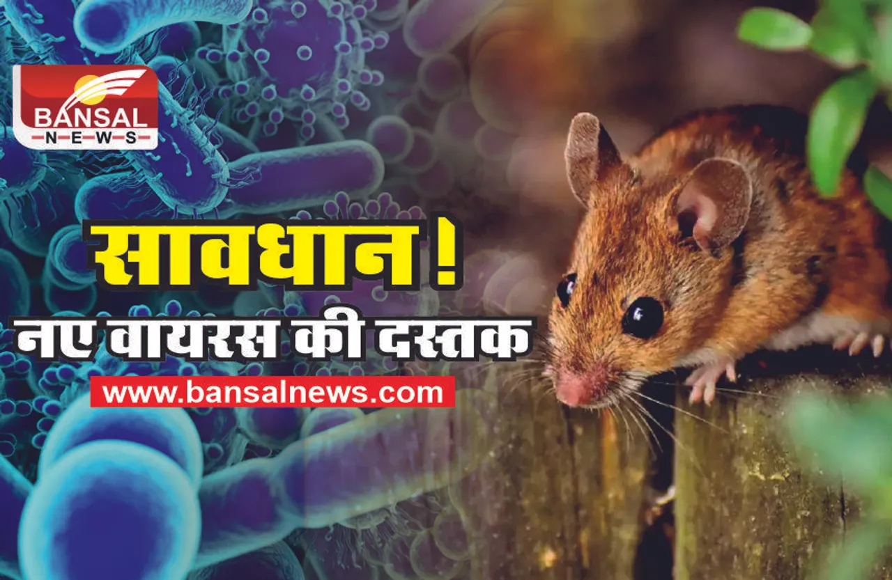 Lassa Fever : खतरनाक वायरस लासा फीवर की दस्तक, क्या है इस वायरस के लक्षण