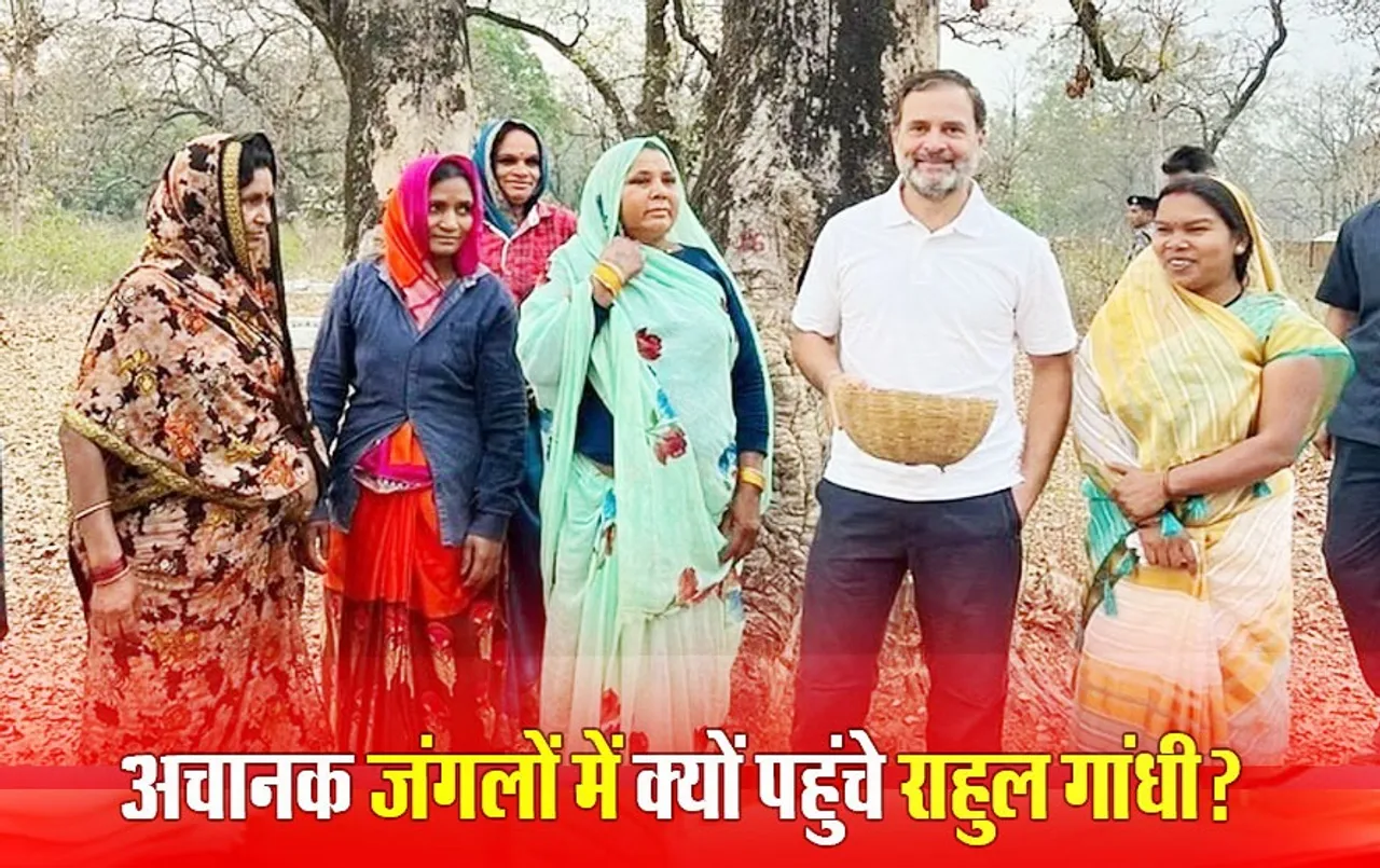 राहुल ने उठाई टोकरी: उमरिया के जंगलों में महुआ बीन रही थी महिलाएं, अचानक रुकवाया काफिला