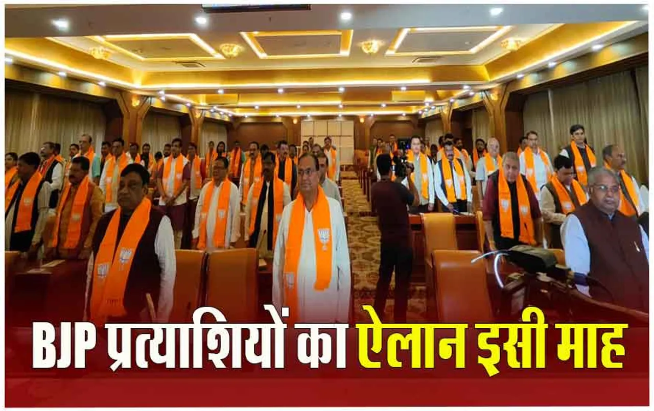 Lok Sabha Election 2024: BJP क्‍लस्‍टर मीटिंग में निष्क्रिय नेताओं से साफ कहा- एक्टिव को ही मिलेगा टिकट