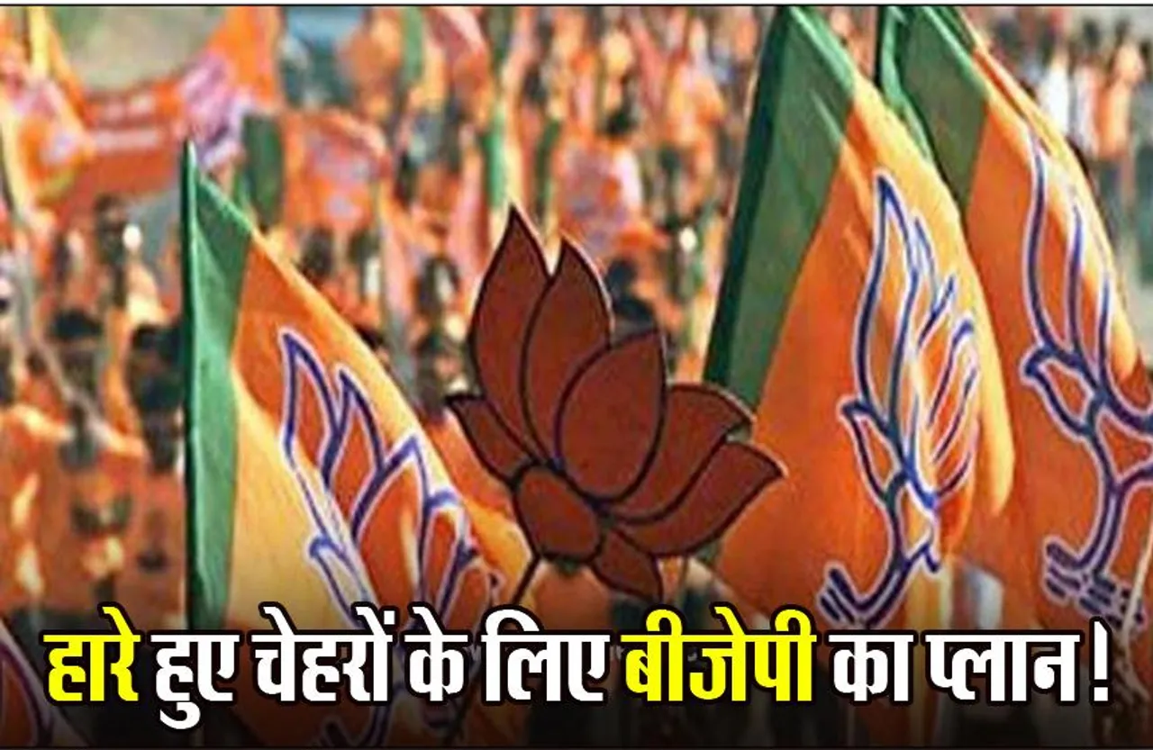 Loksabha Election: लोकसभा चुनाव की तैयारी में जुटी बीजेपी, हारे हुए प्रत्याशियों के लिए बनाया ये प्लान