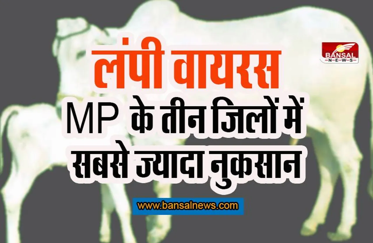 Lumpy Virus Attack: होने लगी दूध की किल्लत, पशुपालकों को सीएम ने दिया संदेश, अपील की