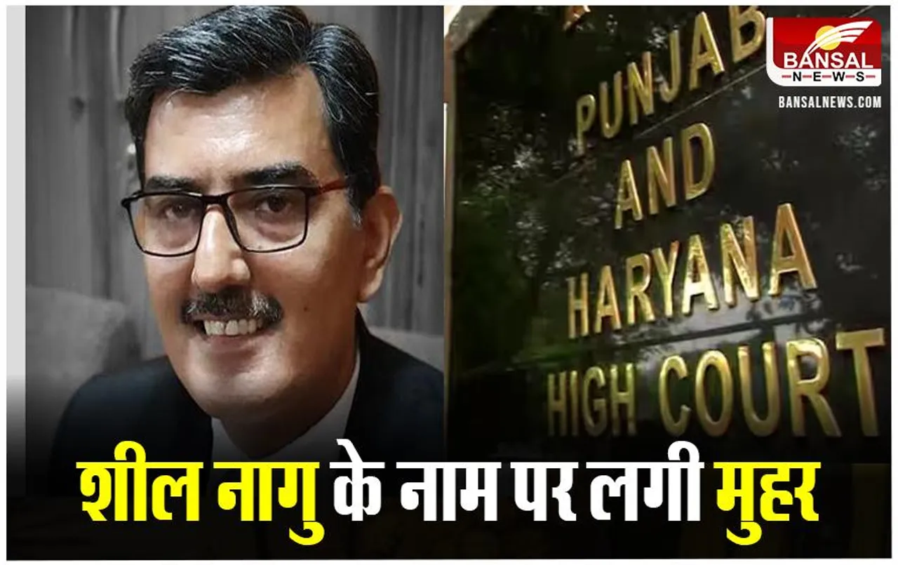 MP News: शील नागु होंगे पंजाब और हरियाणा उच्च न्यायालय के नए मुख्य न्यायाधीश, राष्ट्रपति ने लगाई मुहर