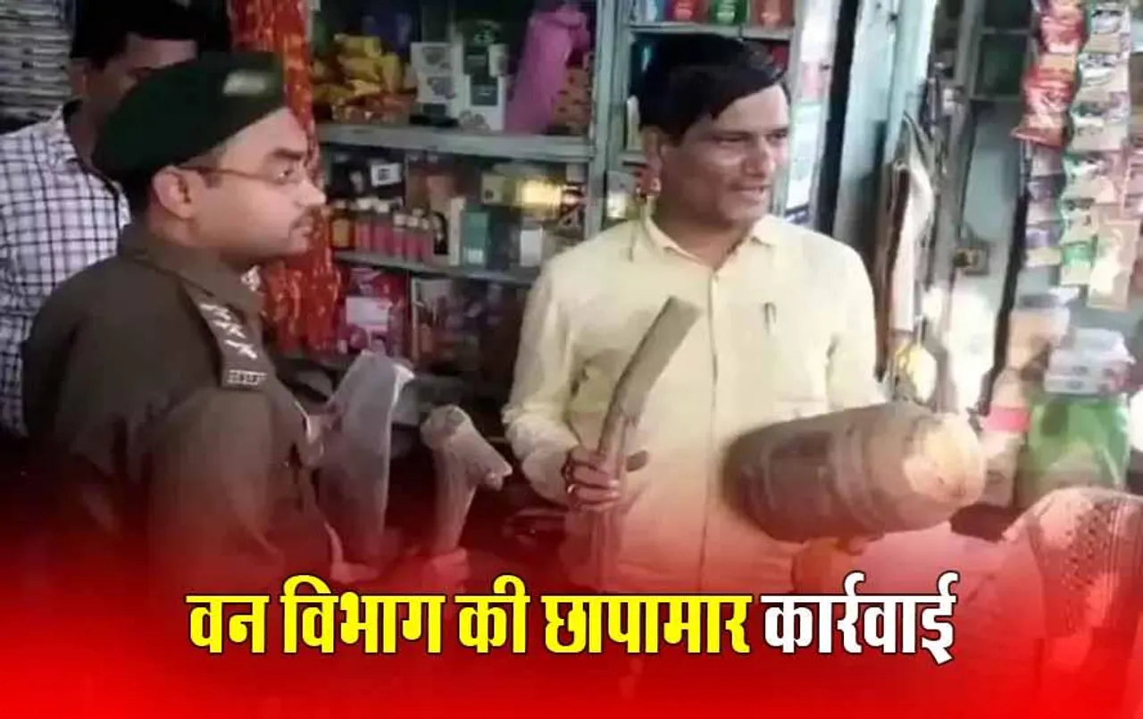 MP News: आयुर्वेदिक दवा दुकान से जंगली जानवरों के शरीर के अंग बरामद, 'जादू टोना' करने में होते थे इस्तेमाल