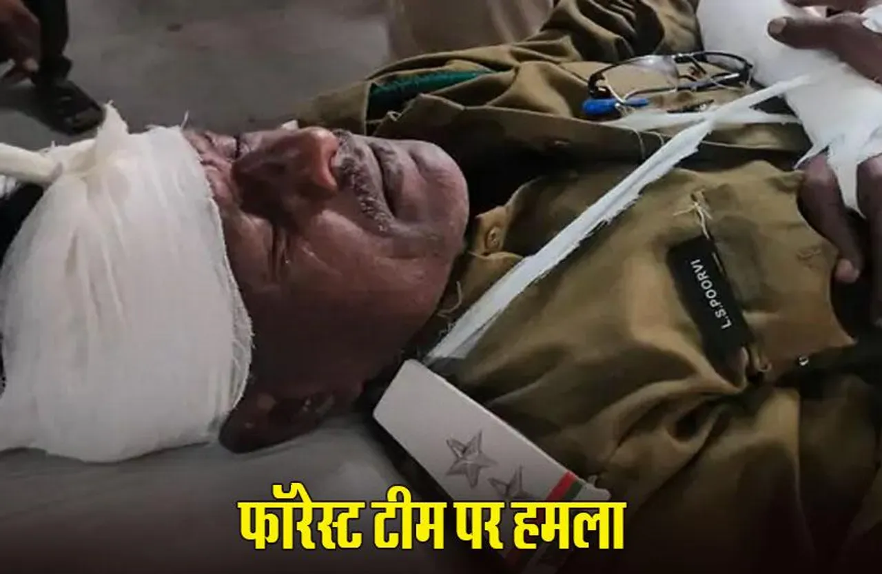 MP News: रायसेन में फॉरेस्ट टीम पर हमला, अवैध रास्ते बंद करवा रहे डिप्टी रेंजर गंभीर घायल