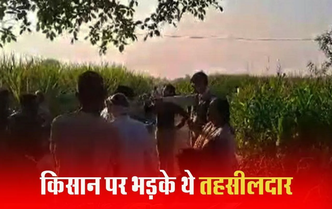 MP News: बड़वानी में किसान के साथ अभद्रता करने वाले तहसीलदार कलेक्टर कार्यालय में अटैच, आदेश जारी