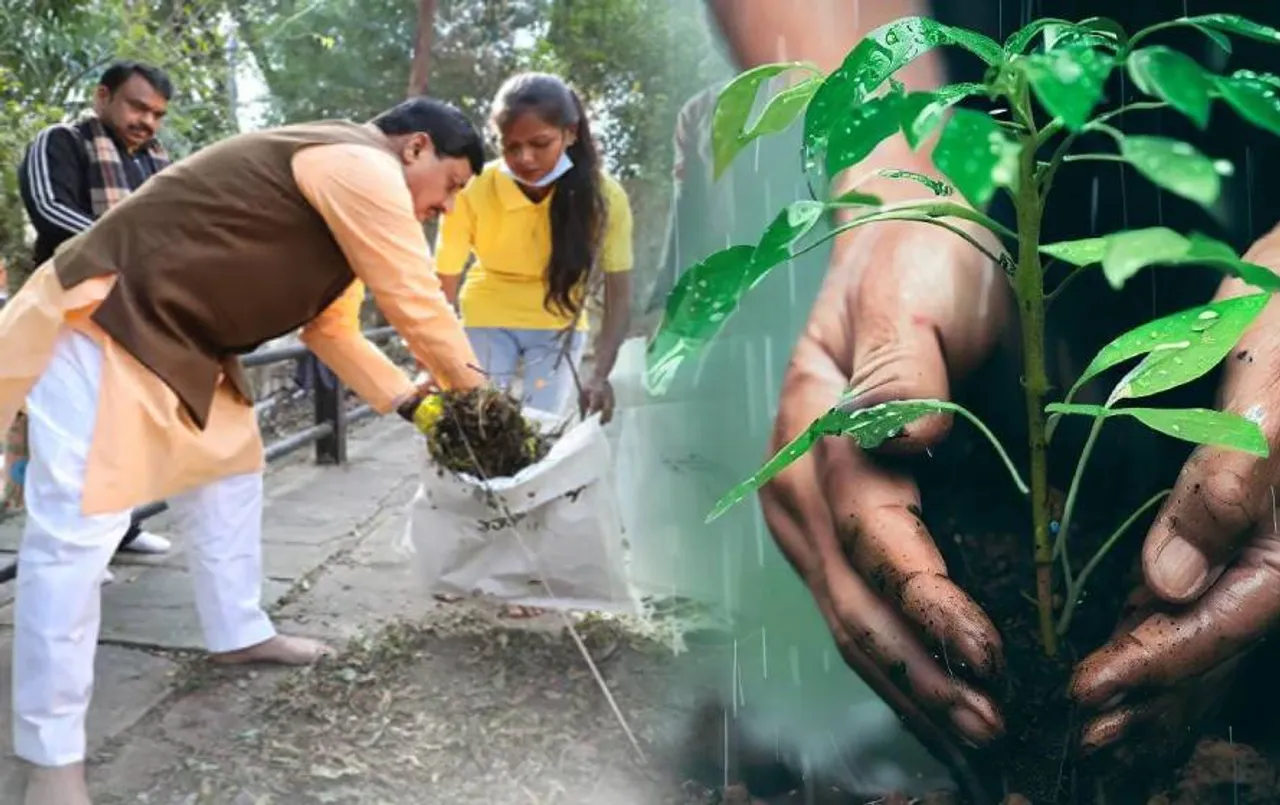 MP News: प्रदेशभर में 5 करोड़ 50 लाख पौधे लगाएगी मोहन सरकार, नमामि गंगे अभियान के तहत लिया फैसला