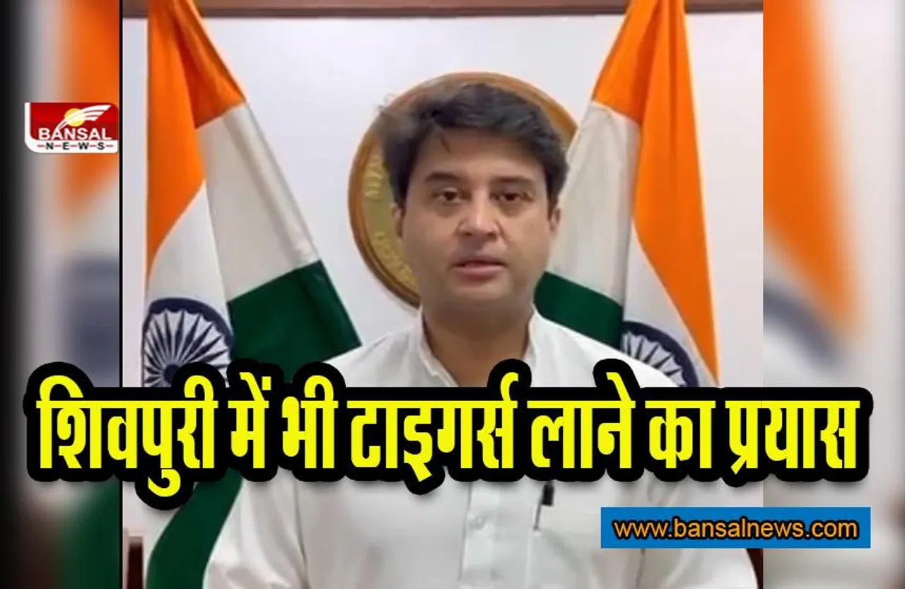 MP News: ग्वालियर पहुंचते ही केंद्रीय मंत्री सिंधिया ने कही बड़ी बात