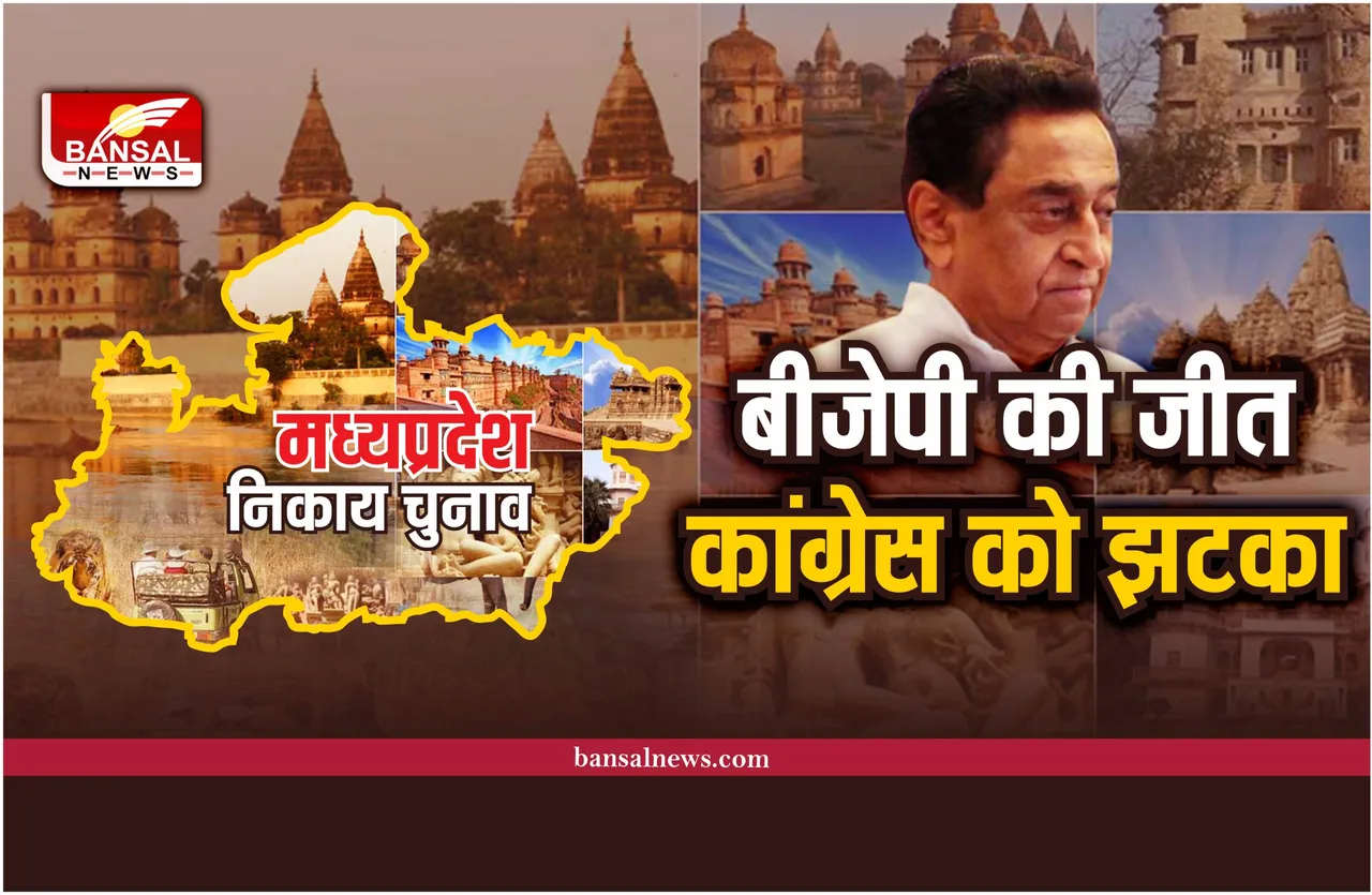 MP Nikay Chunav Result: बीजेपी की बंपर जीत, कांग्रेस को लगा बड़ा झटका