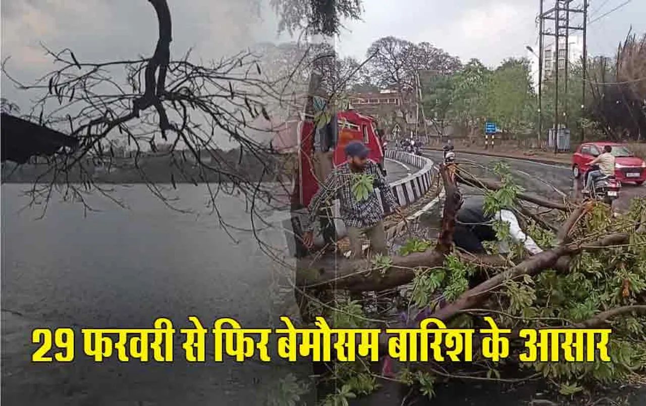 MP Weather Forcast: 29 फरवरी से फिर एक्टिव होंगे दो वेदर डिटरबेंस, मार्च की शुरुआत बारिश के साथ
