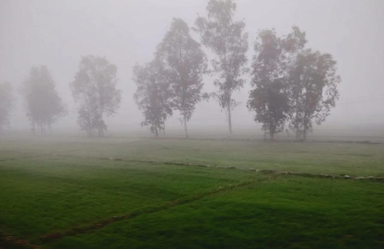 MP Weather Update: लो प्रेशर एरिया और चक्रवाती घेरा, 25 जिलों में मध्यम से भारी बारिश का Yellow-Oragne Alert