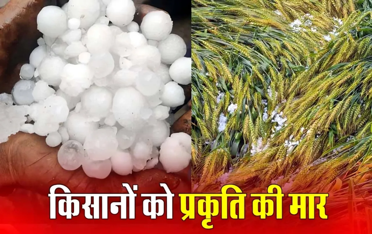 MP Weather: प्रदेश के 16 जिले में गिरे ओले, निवाड़ी का किसान फूट-फूट कर रोया, CM मोहन ने दिए सर्वे के निर्देश