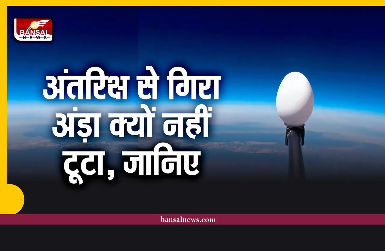 आखिर स्पेस से गिरा अंड़ा टूटा क्यों नहीं?, वैज्ञानिकों ने गिराया था स्पेस से अंडा