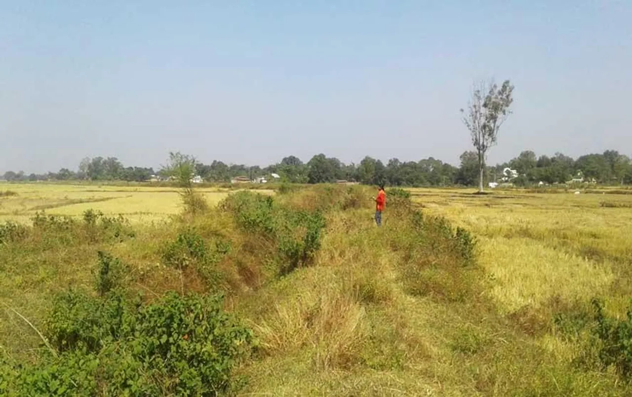 MP News: मोद सागर नहर की बदहाली से किसान परेशान, बोवनी के लिए पानी नहीं, सूखे पड़े खेत