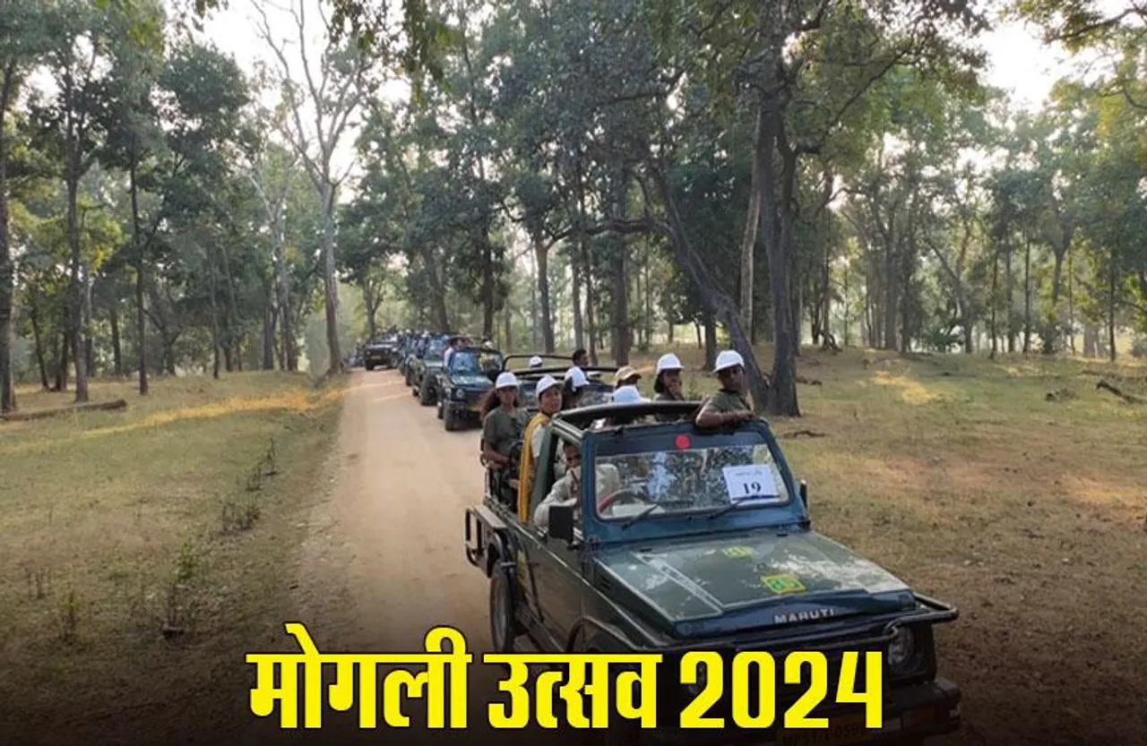 Mowgli Utsav 2024: पेंच नेशनल पार्क में 3 दिन तक होगा मोगली उत्सव, 52 जिलों के बच्चे होंगे शामिल