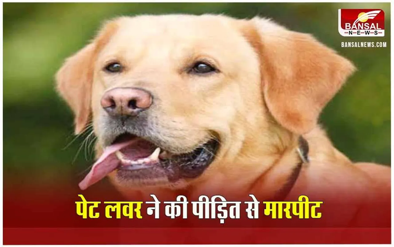 MP News: पेट लवर ने की पीड़ित पिता के साथ मारपीट, कुत्ते को पकड़ने के लिए बुलाई थी निगम की टीम