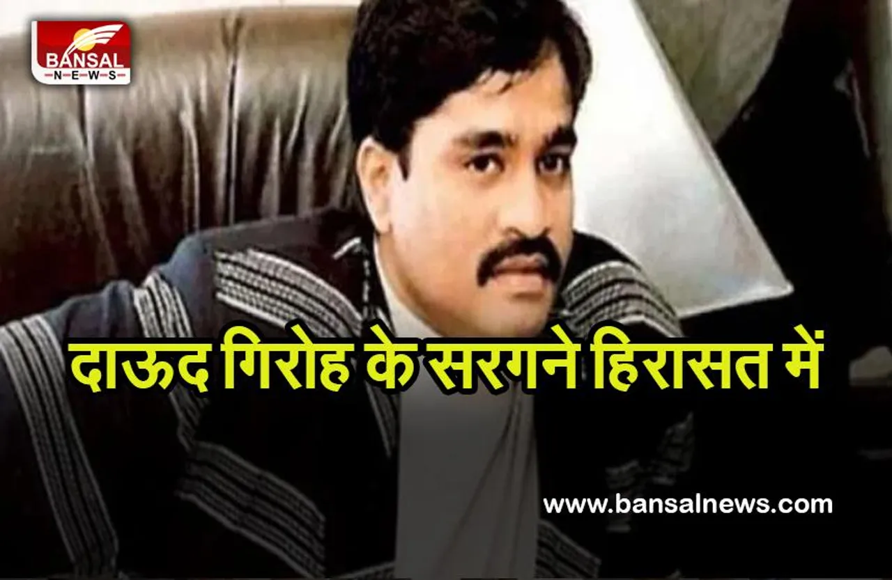 NIA Action ON Dawood Gang: दाऊद गिरोह के दो सरगनों पर पकड़, इन गतिविधियों में थे संलिप्त