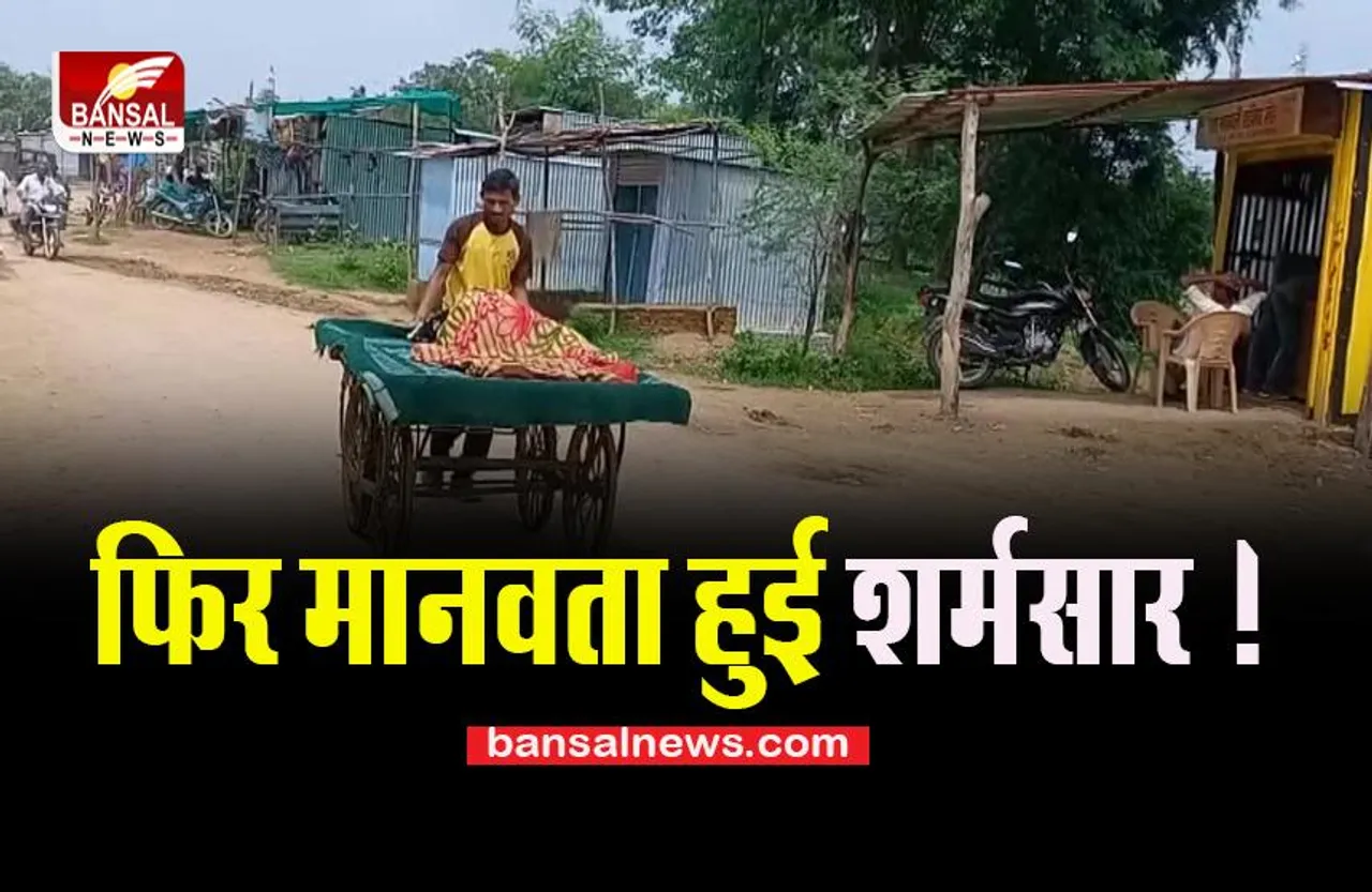 MP Damoh News: फिर नहीं मिली एंबुलेंस ! गर्भवती पत्नी को हाथ ठेले पर लेकर अस्पताल पहुंचा पति, पढ़ें पूरी खबर