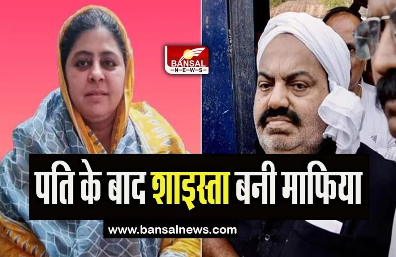 Shaista Parveen Mafia: अब पुलिस ने फरार शाइस्ता परवीन को किया माफिया घोषित, जाने ये बड़ी खबर