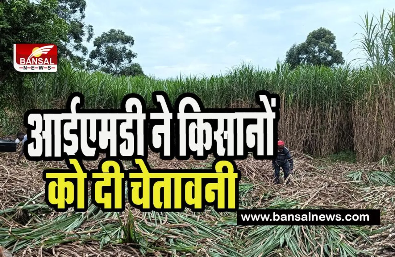IMD Alert For Farmers: गर्मी से पहले बारिश ने बढ़ाई आफत ! किसानों को पंजाब और हरियाणा में फसल की कटाई टालने की सलाह