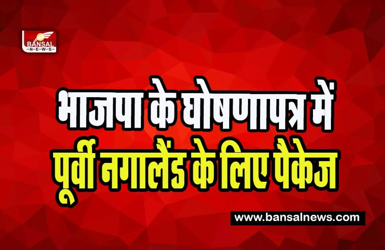 Nagaland Assembly Election 2023 : 27 फरवरी को होने वाले विधानसभा चुनाव ! भाजपा के घोषणापत्र में पूर्वी नगालैंड के लिए पैकेज