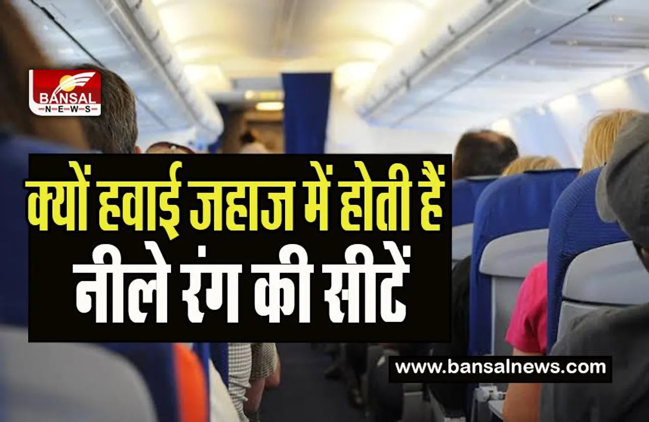 Airplane Blue Seats: आखिर नीली क्यों होती है हवाई जहाज की सीटें ? लाल या और रंग की क्यों नहीं , जानिए ये इंटरेस्टिंग फैक्ट