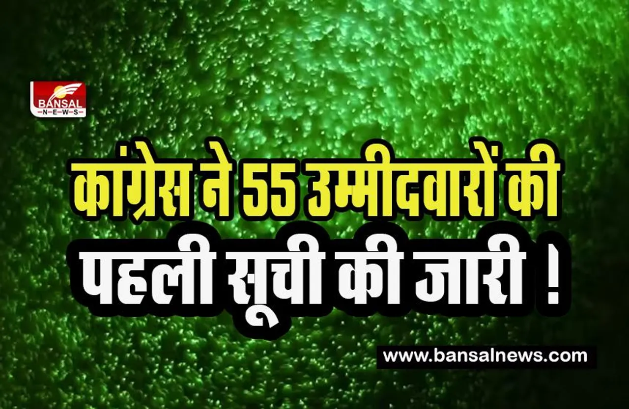Meghalaya Assembly Election 2023: कांग्रेस ने 55 उम्मीदवारों की पहली सूची की जारी ! इन उम्मीदवारों के दिए नाम