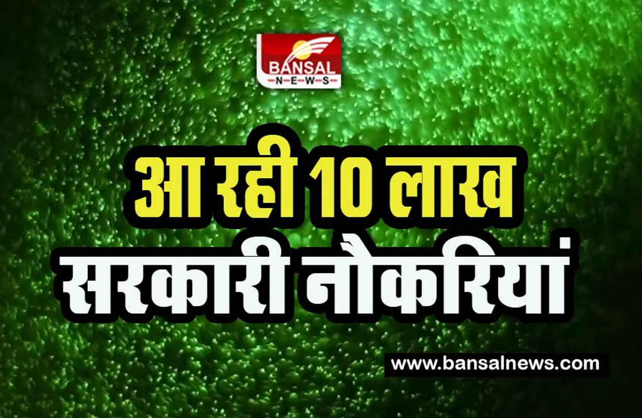 Bihar Government Job Big Breaking:  आ रही 10 लाख सरकारी नई नौकरियां ! 5 महीनों में बांटे युवाओं को 28,000 नियुक्ति पत्र