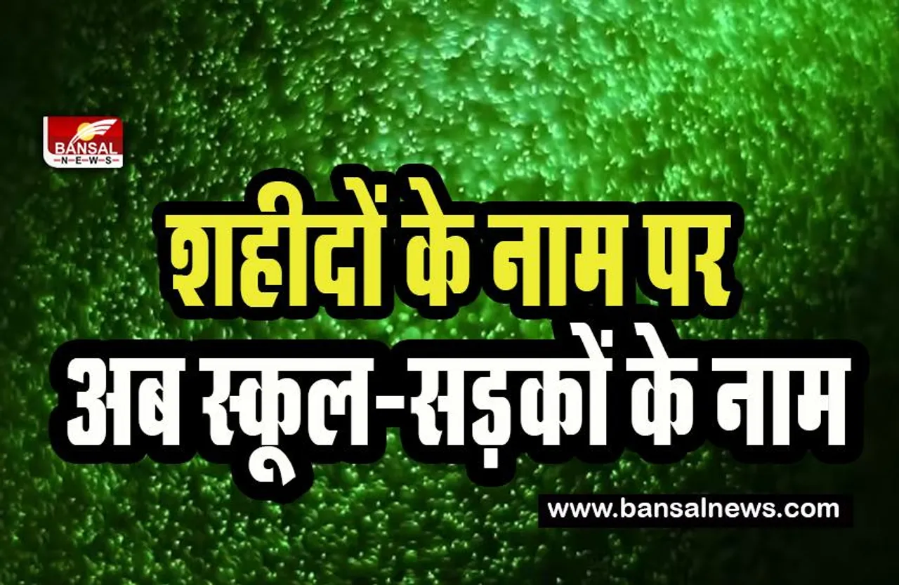 Jammu Kashmir School-Road Name: जम्मू-कश्मीर सरकार का बड़ा फैसला ! शहीदों और प्रतिष्ठित हस्तियों के नाम पर अब स्कूल-सड़कों के नाम